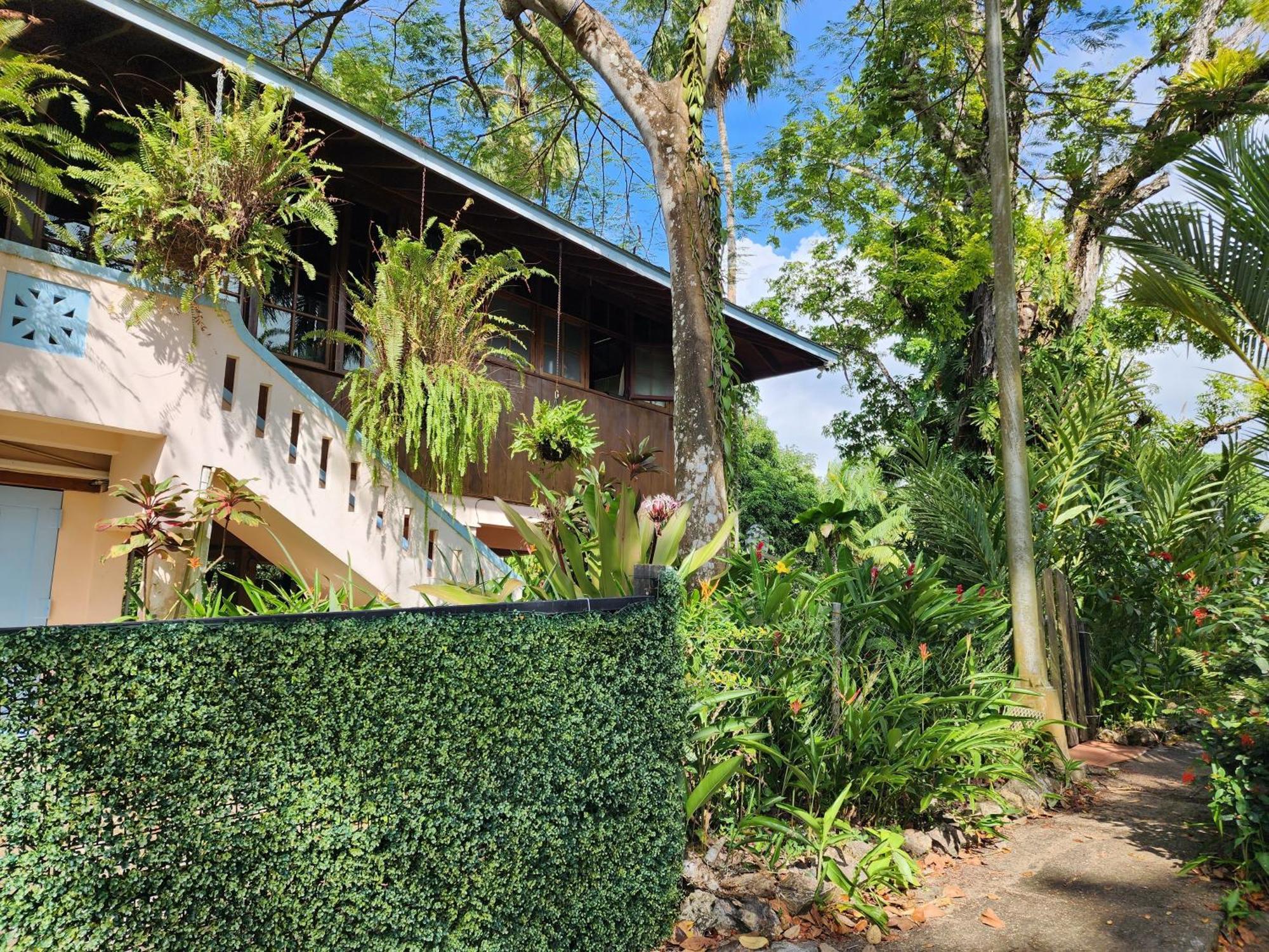 Gamboa Apartment Toucan Y Studio Neque Exterior photo